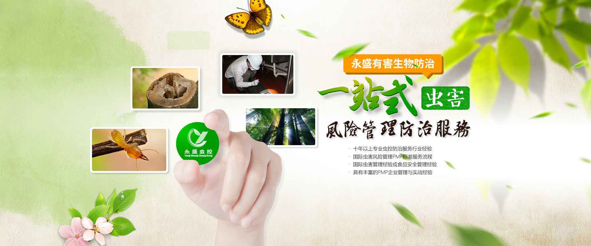 中山除甲醛，中山滅白蟻公司網(wǎng)站banner圖
