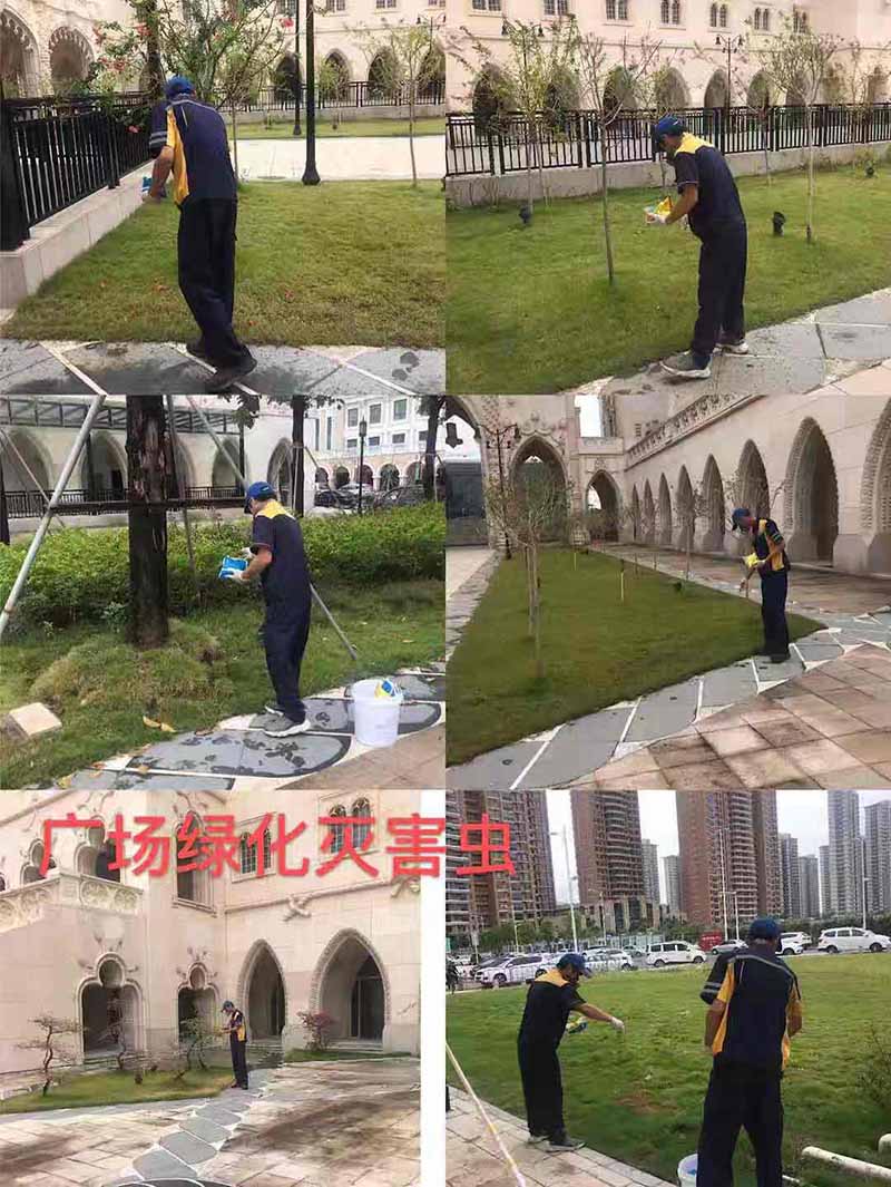 廣場綠化滅蟲害現(xiàn)場施工圖